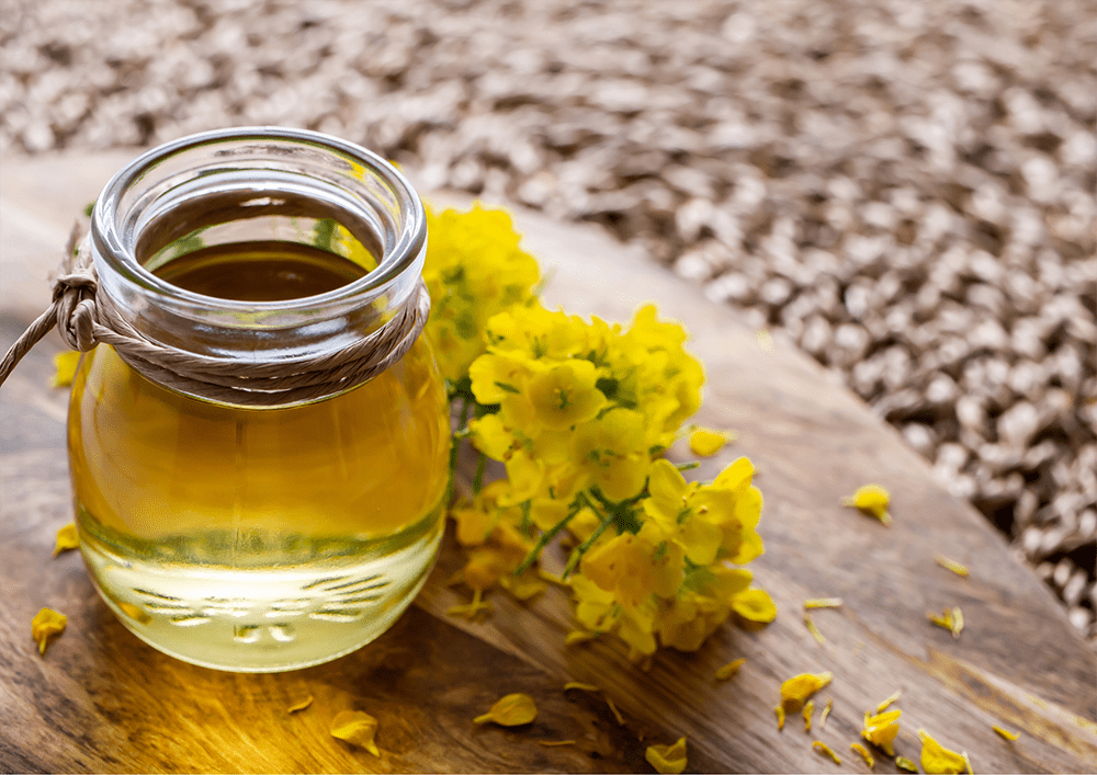 Canola Oil