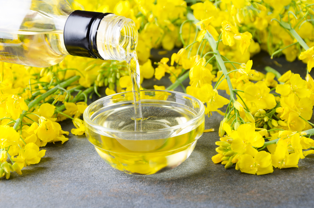 canola oil with yellow flowers
