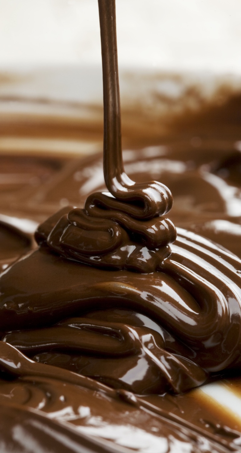 chocolate dessert fudge