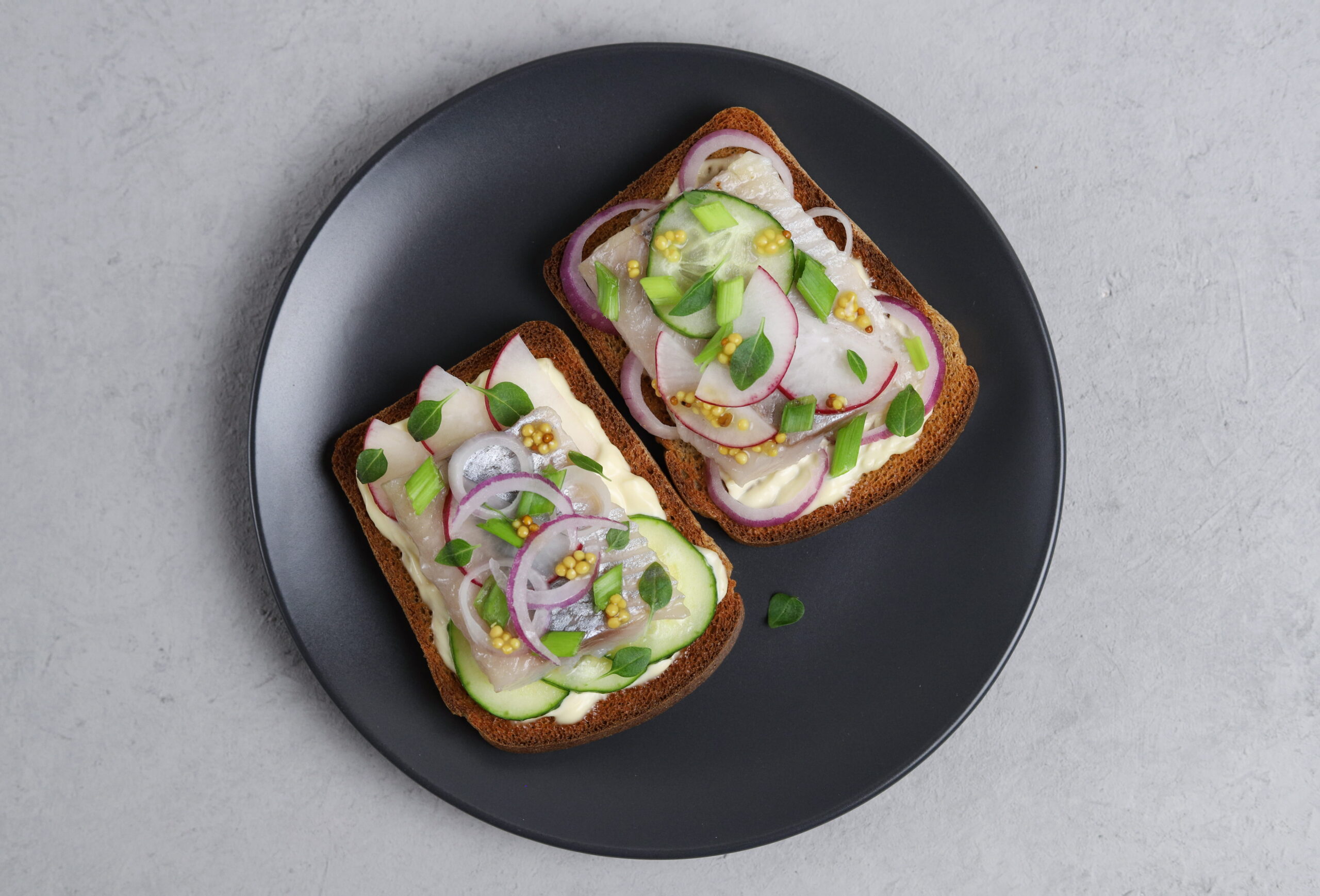 2 rye breads with mayonnaise